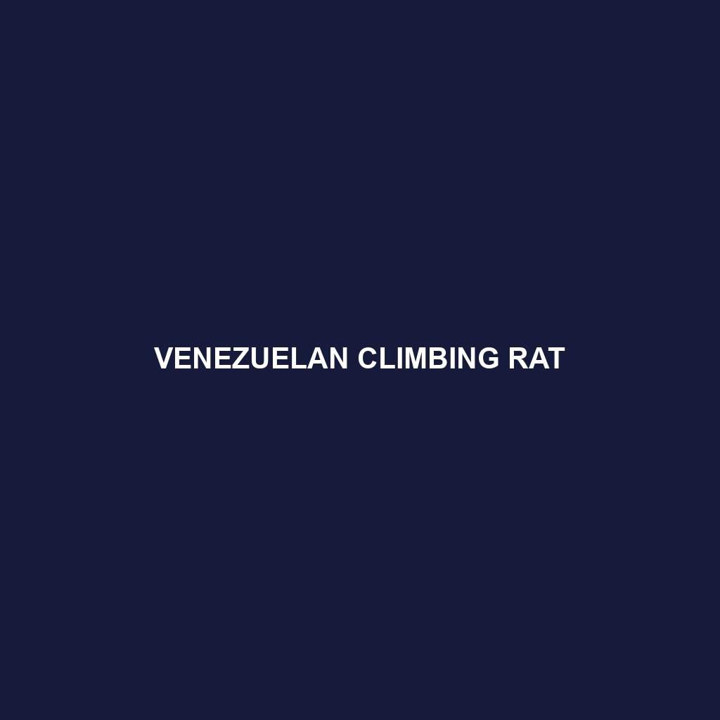 Venezuelan Climbing Rat