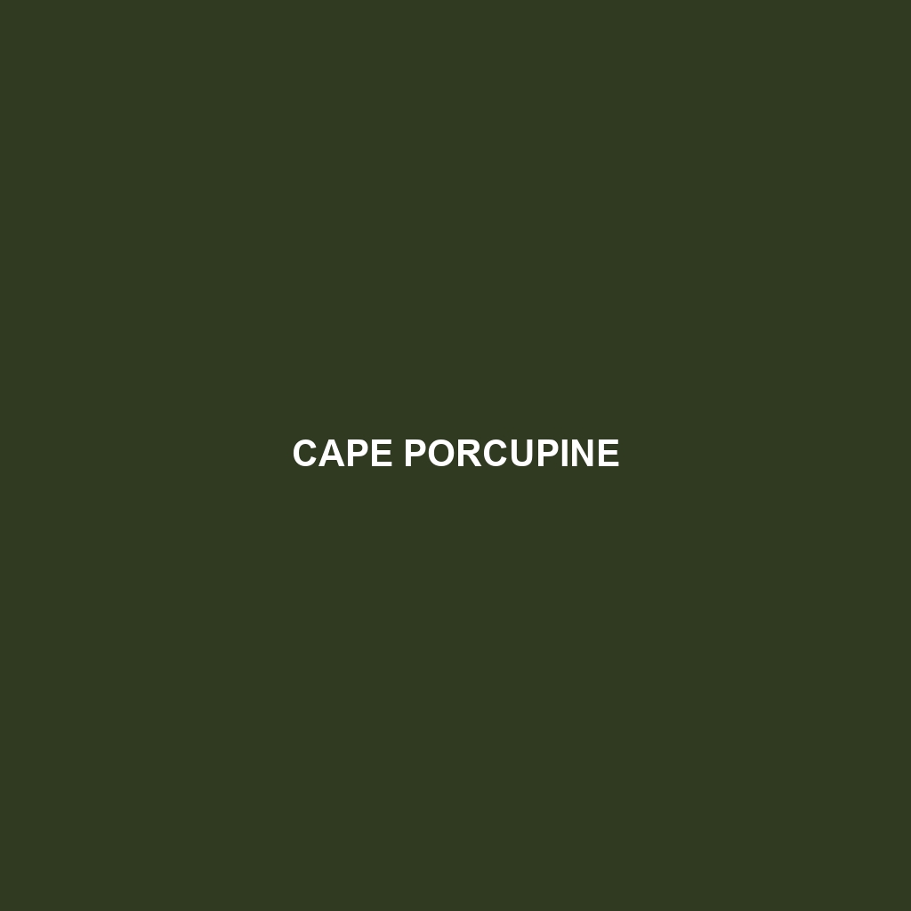 Cape Porcupine