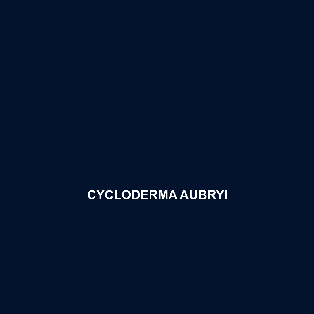 Cycloderma aubryi