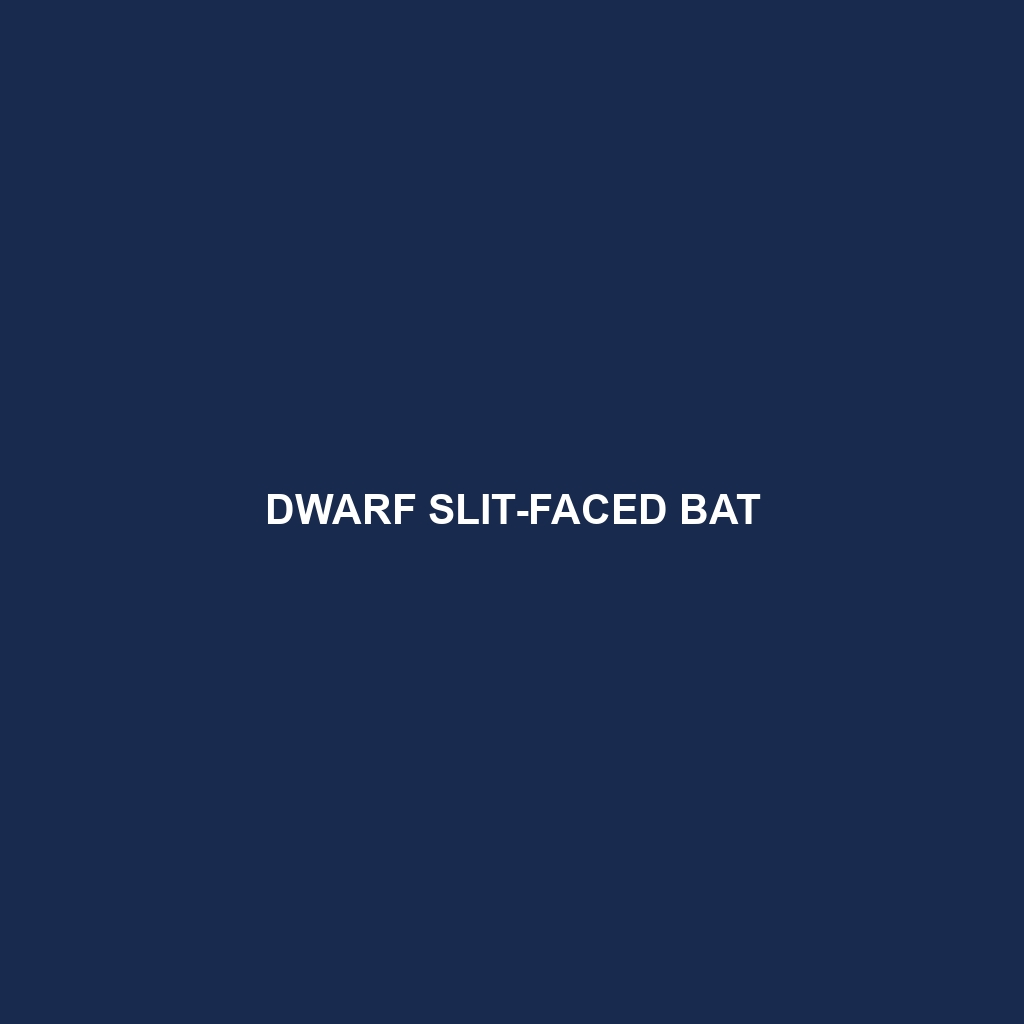 Dwarf Slit-faced Bat