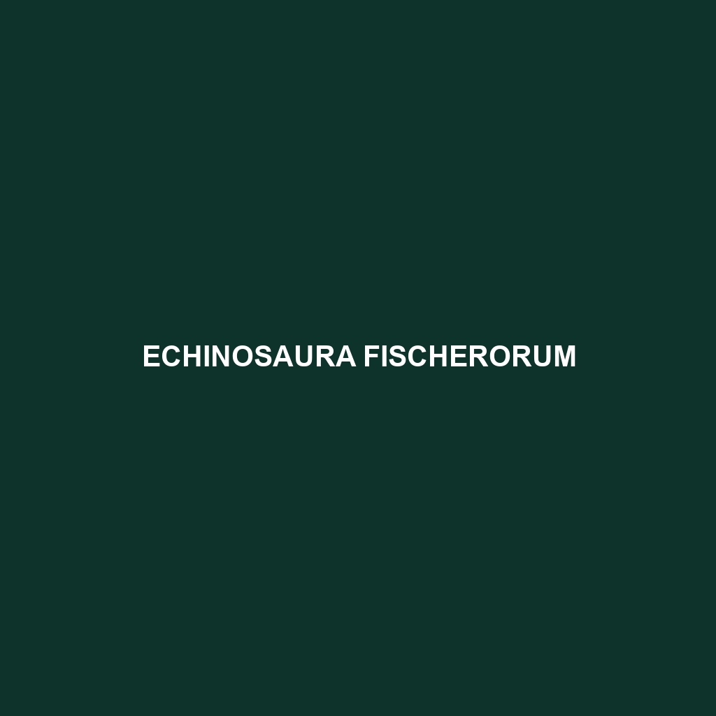 Echinosaura fischerorum