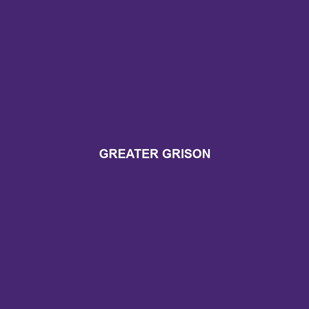 Greater Grison