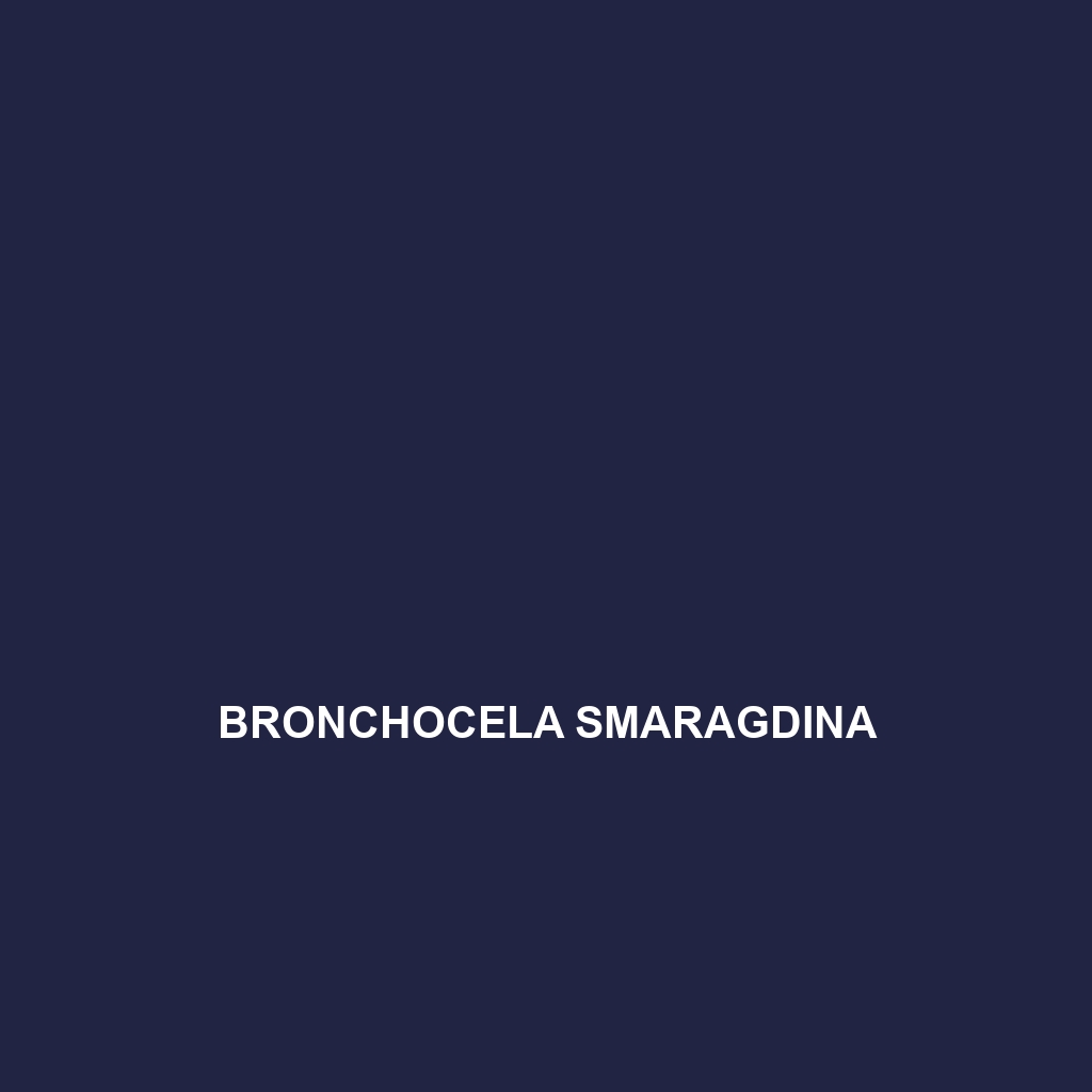 Bronchocela smaragdina