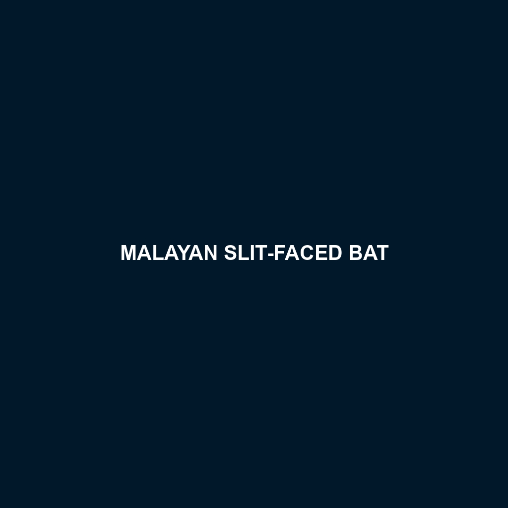 Malayan Slit-faced Bat