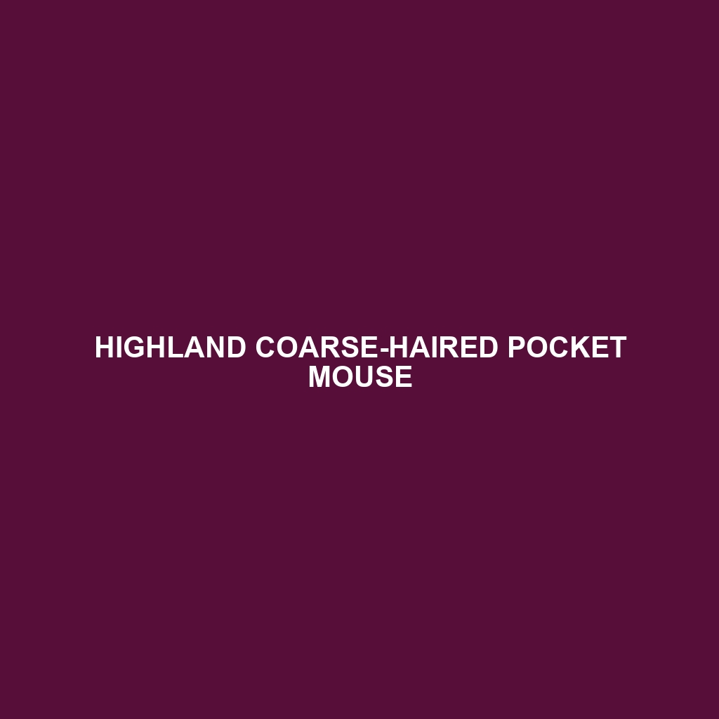 Highland Coarse-haired Pocket Mouse