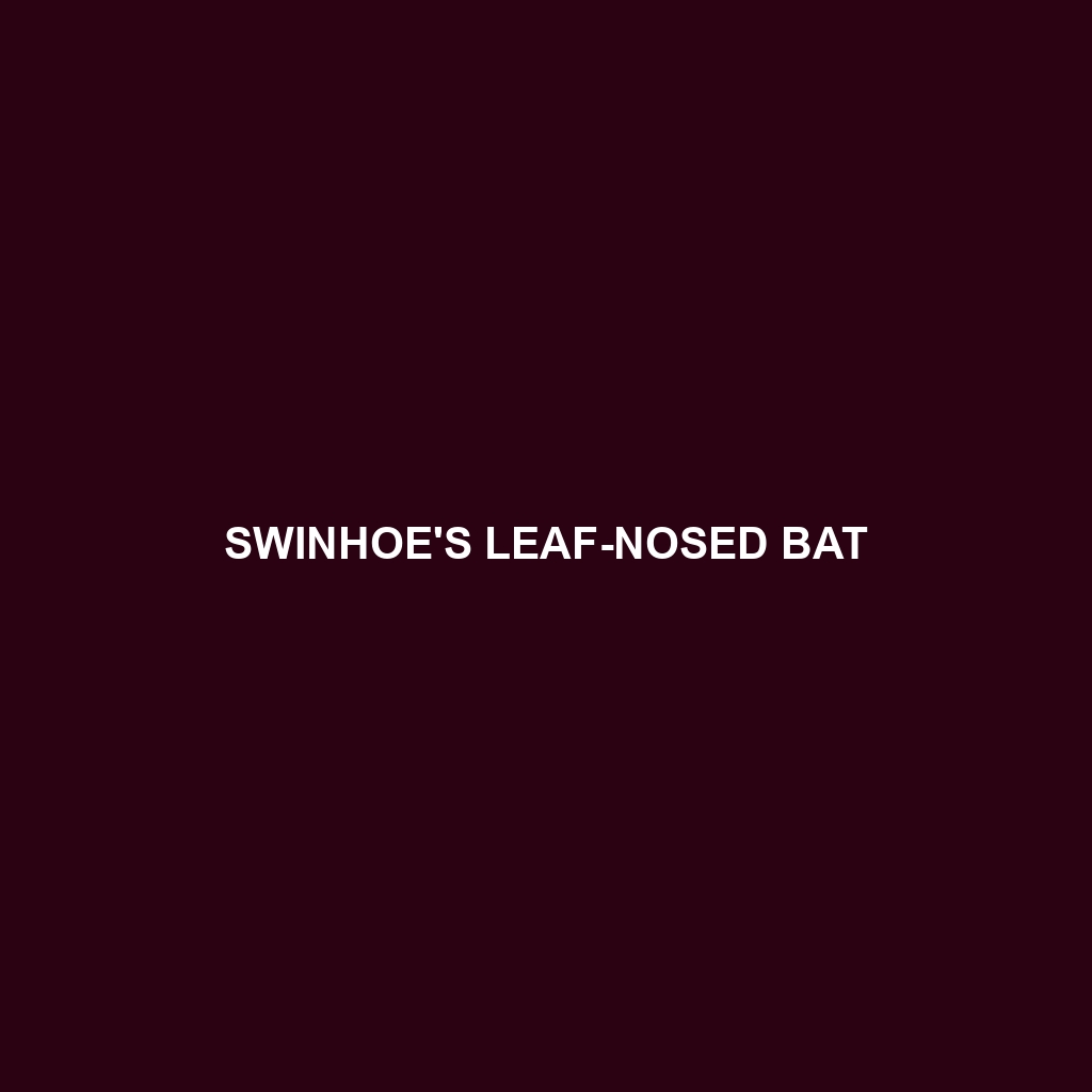 Swinhoe's Leaf-nosed Bat