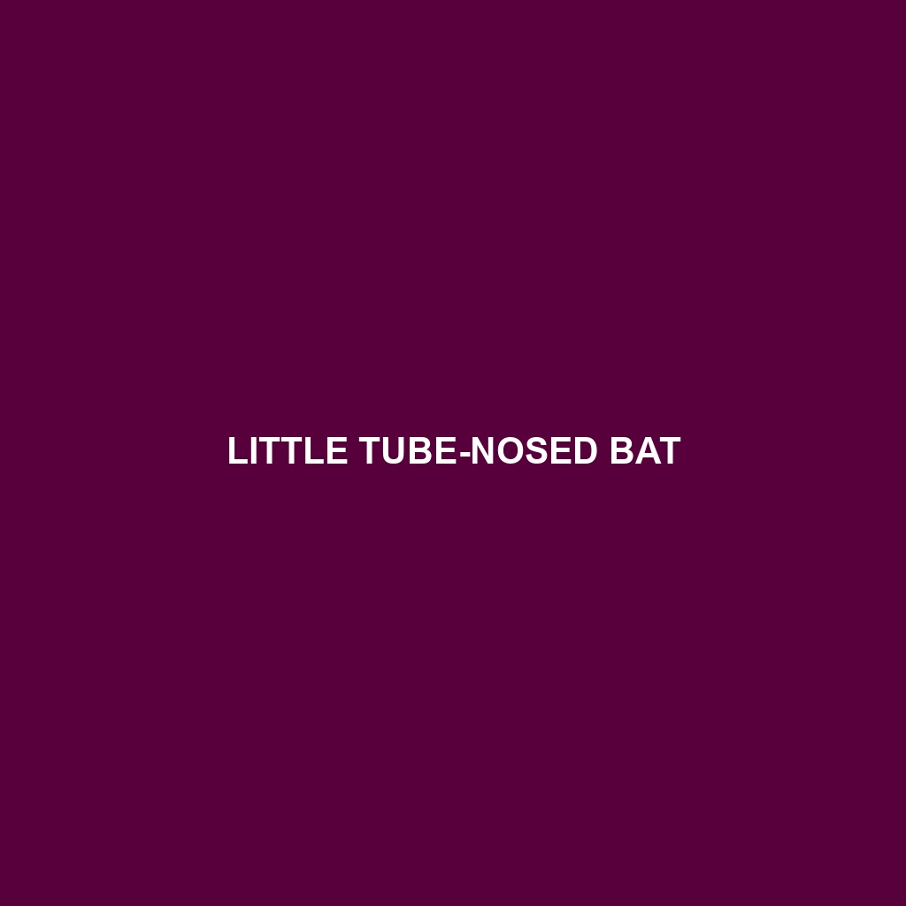 Little Tube-nosed Bat