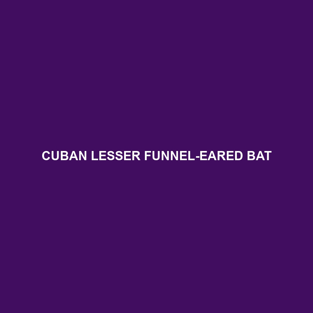 Cuban Lesser Funnel-eared Bat