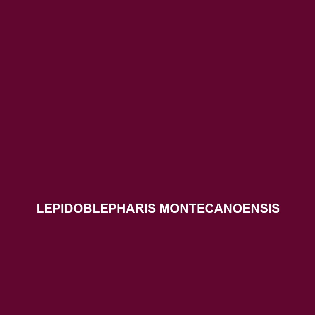 Lepidoblepharis montecanoensis