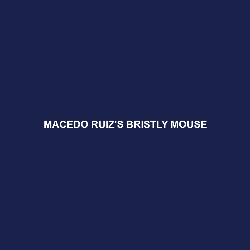 Marajó Bristly Mouse