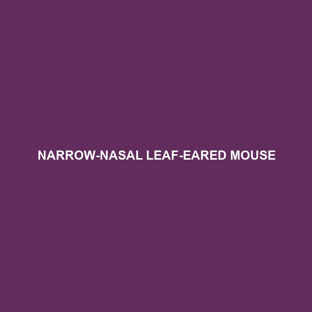 Narrow-nasal Leaf-eared Mouse