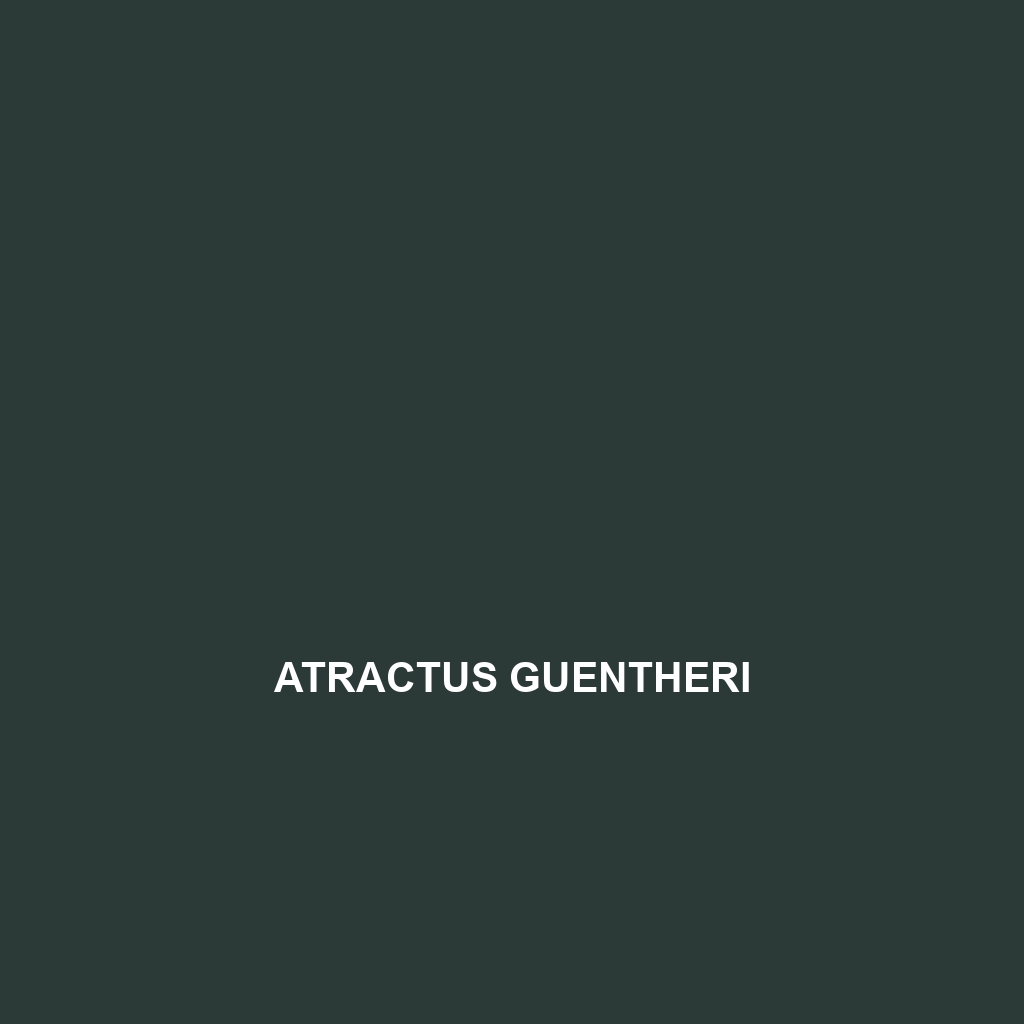 Atractus guentheri