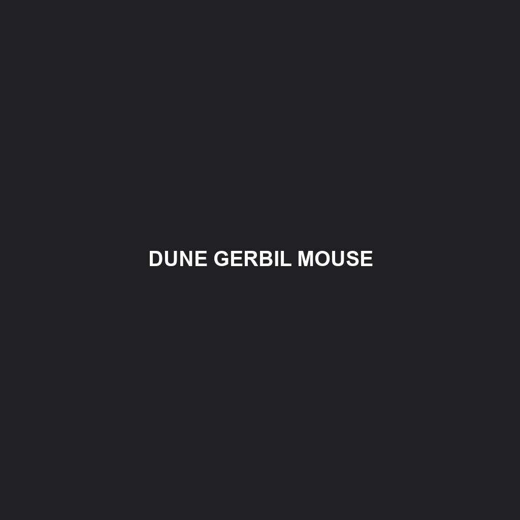 Dune Gerbil Mouse