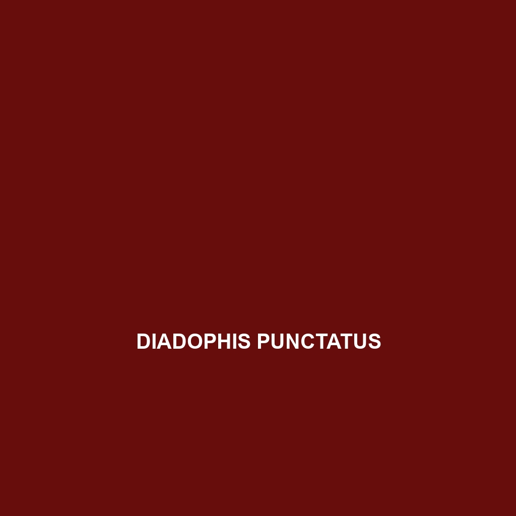 Diadophis punctatus