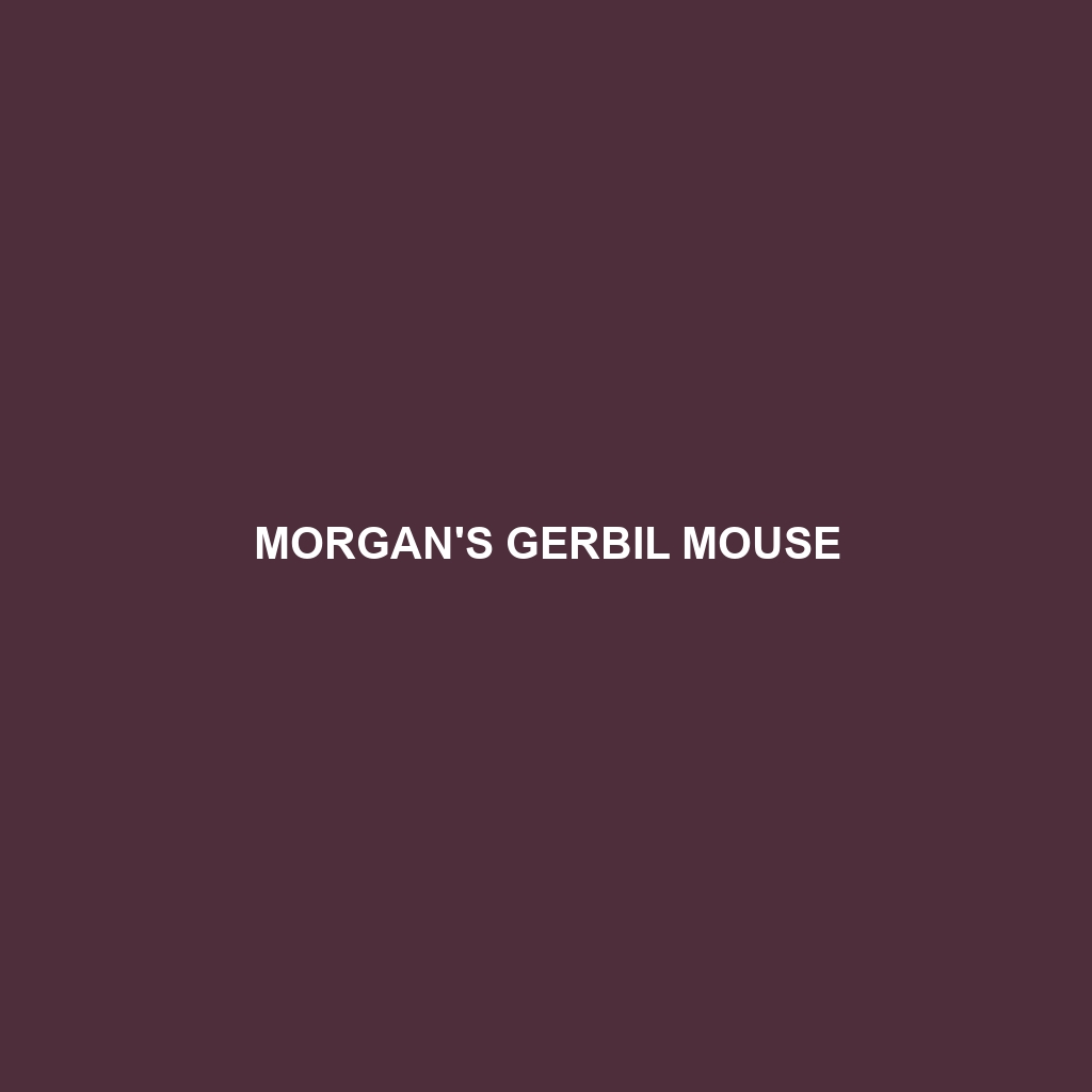 Morgan's Gerbil Mouse