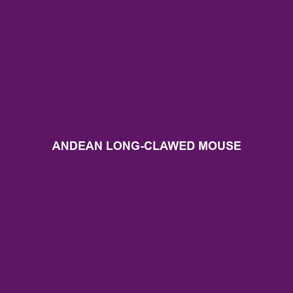 Andean Long-clawed Mouse