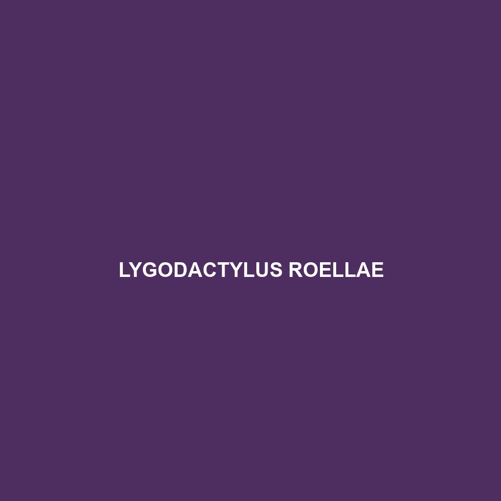 Lygodactylus roellae