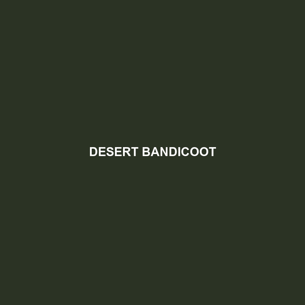 Desert Bandicoot