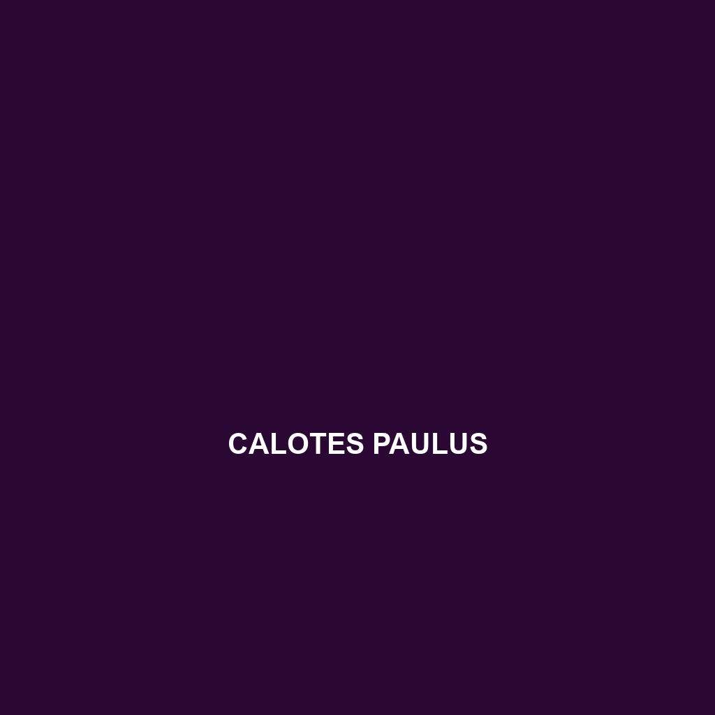 Calotes paulus