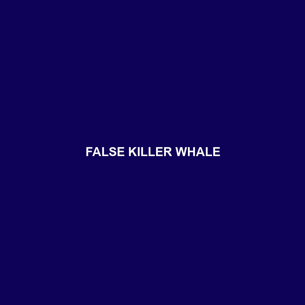 False Killer Whale