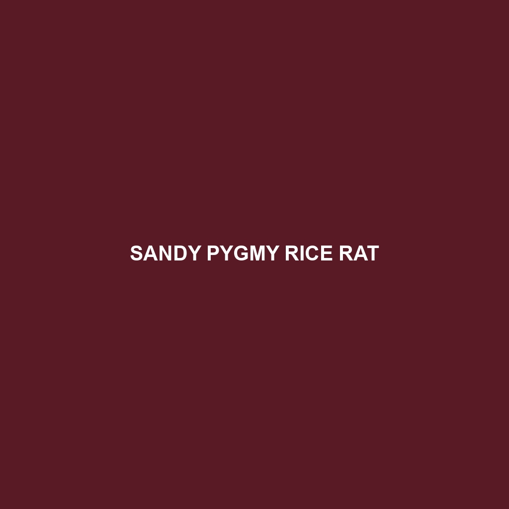 Sandy Pygmy Rice Rat