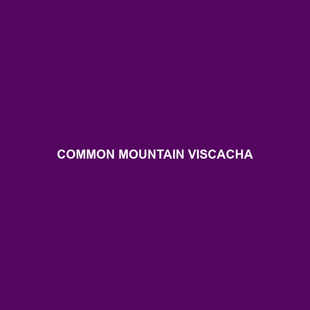 Common Mountain Viscacha