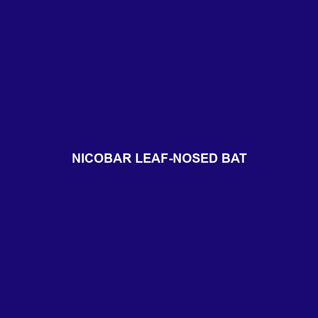 Nicobar Leaf-nosed Bat