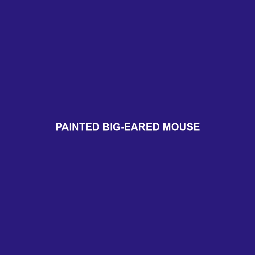 Painted Big-eared Mouse