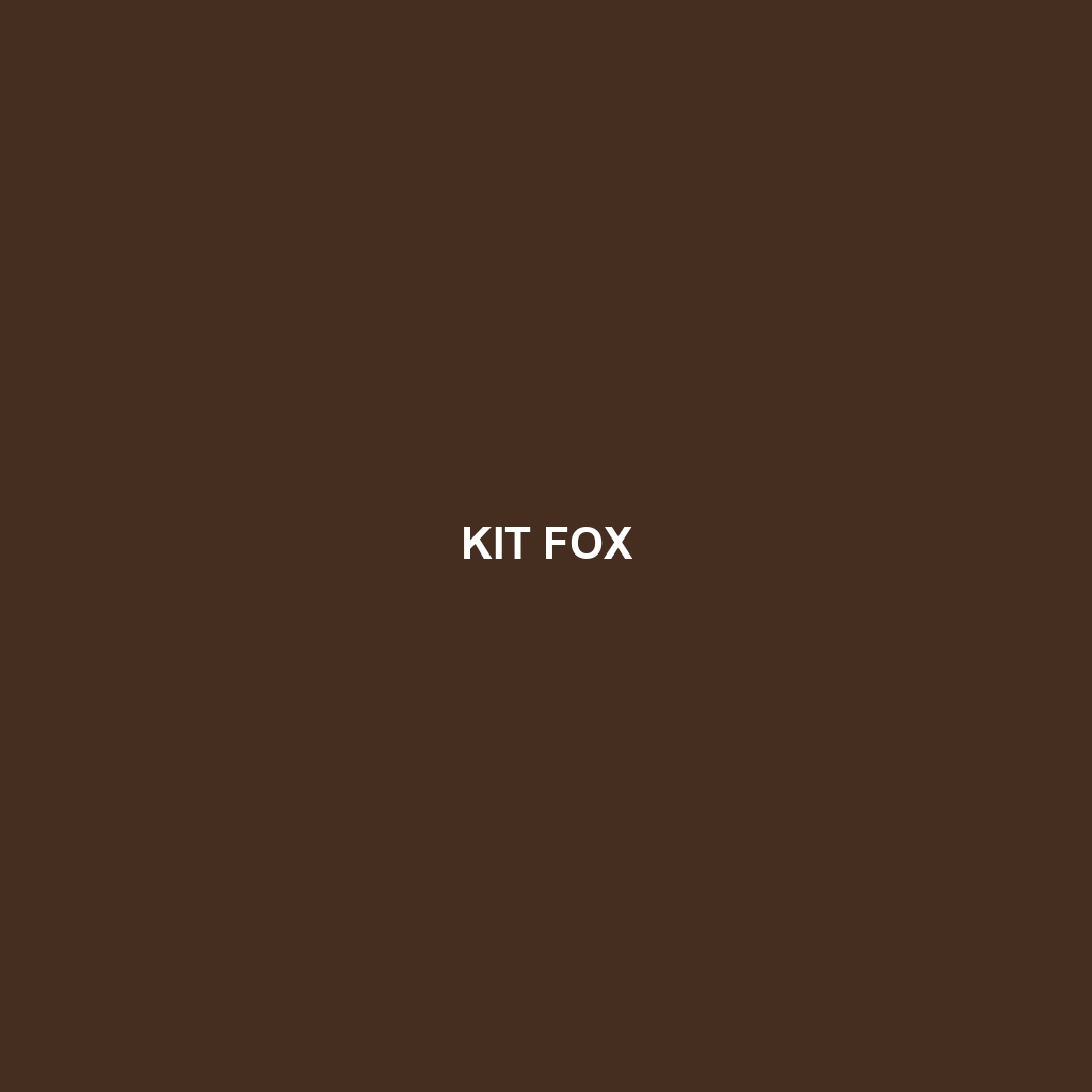 Kit Fox