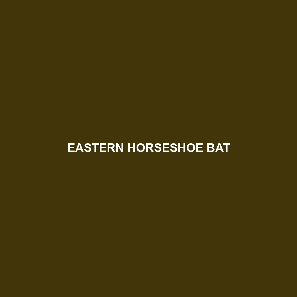 Eastern Horseshoe Bat