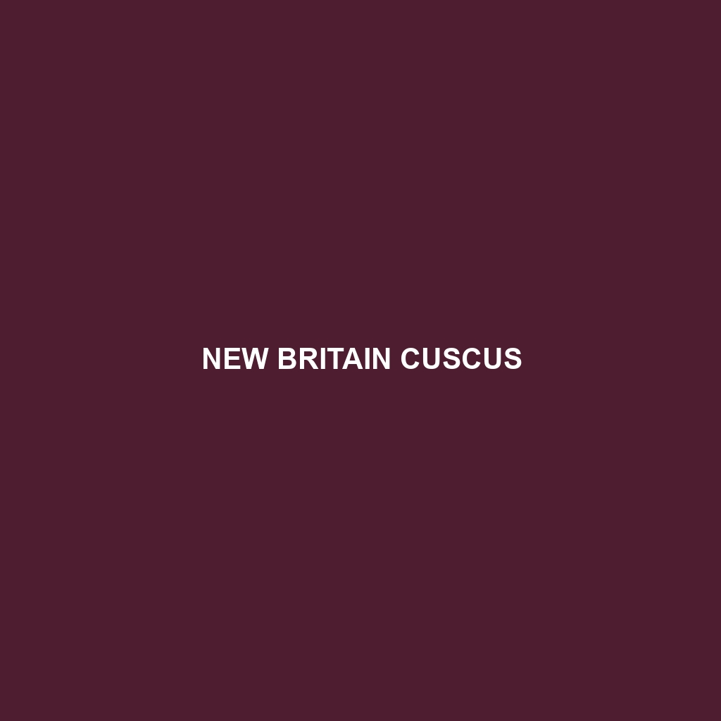 New Britain Cuscus