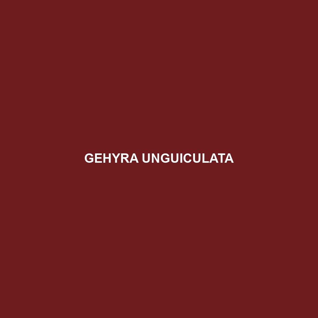 Gehyra unguiculata