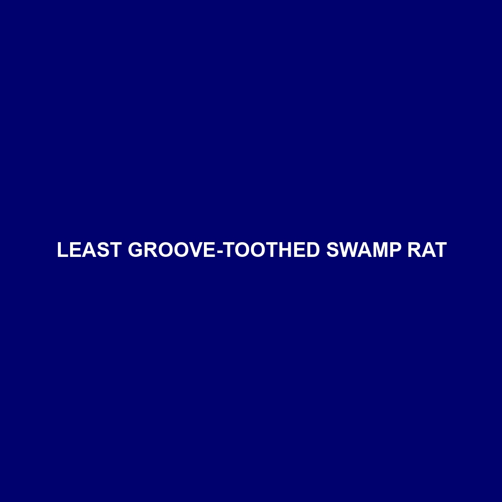 Least Groove-toothed Swamp Rat