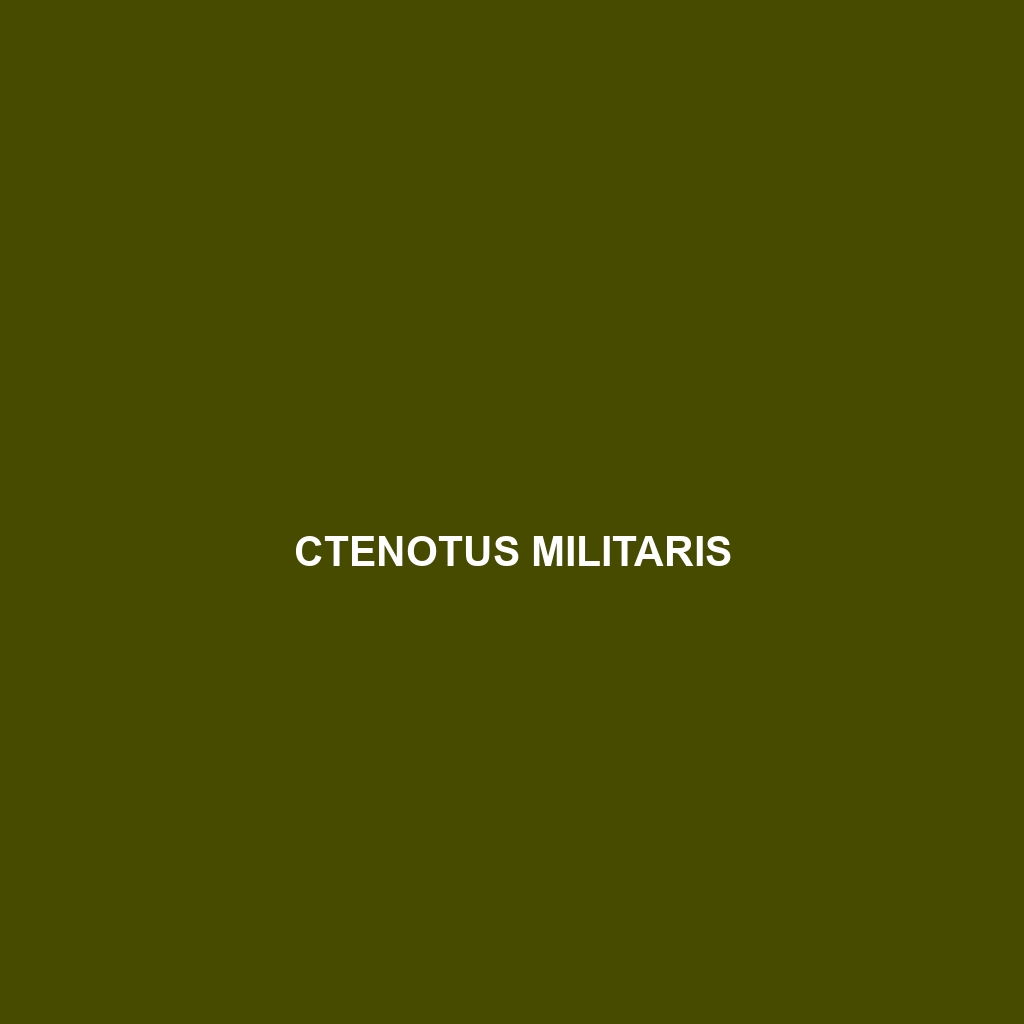 Ctenotus militaris