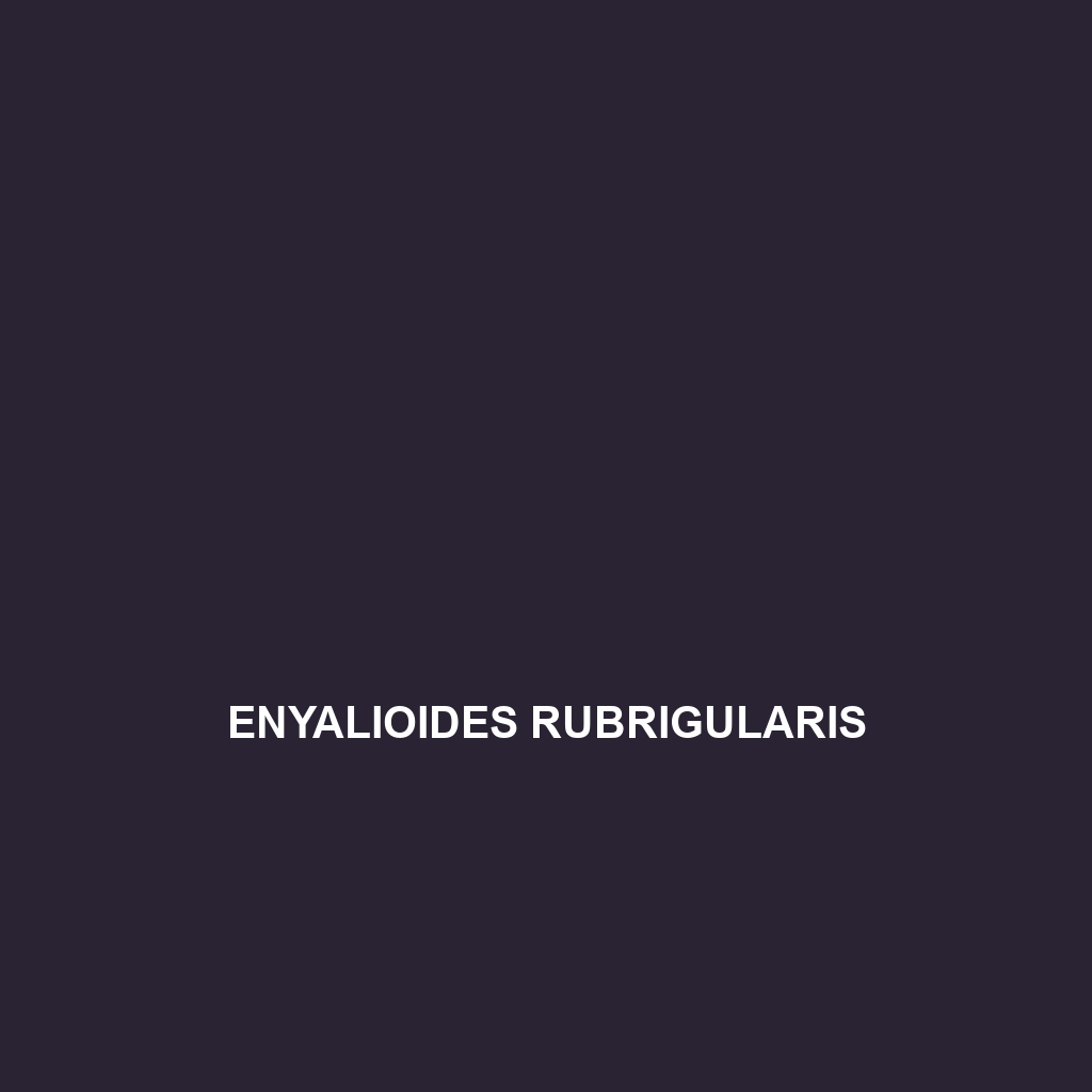 Enyalioides rubrigularis