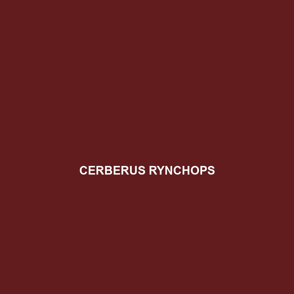 Cerberus rynchops