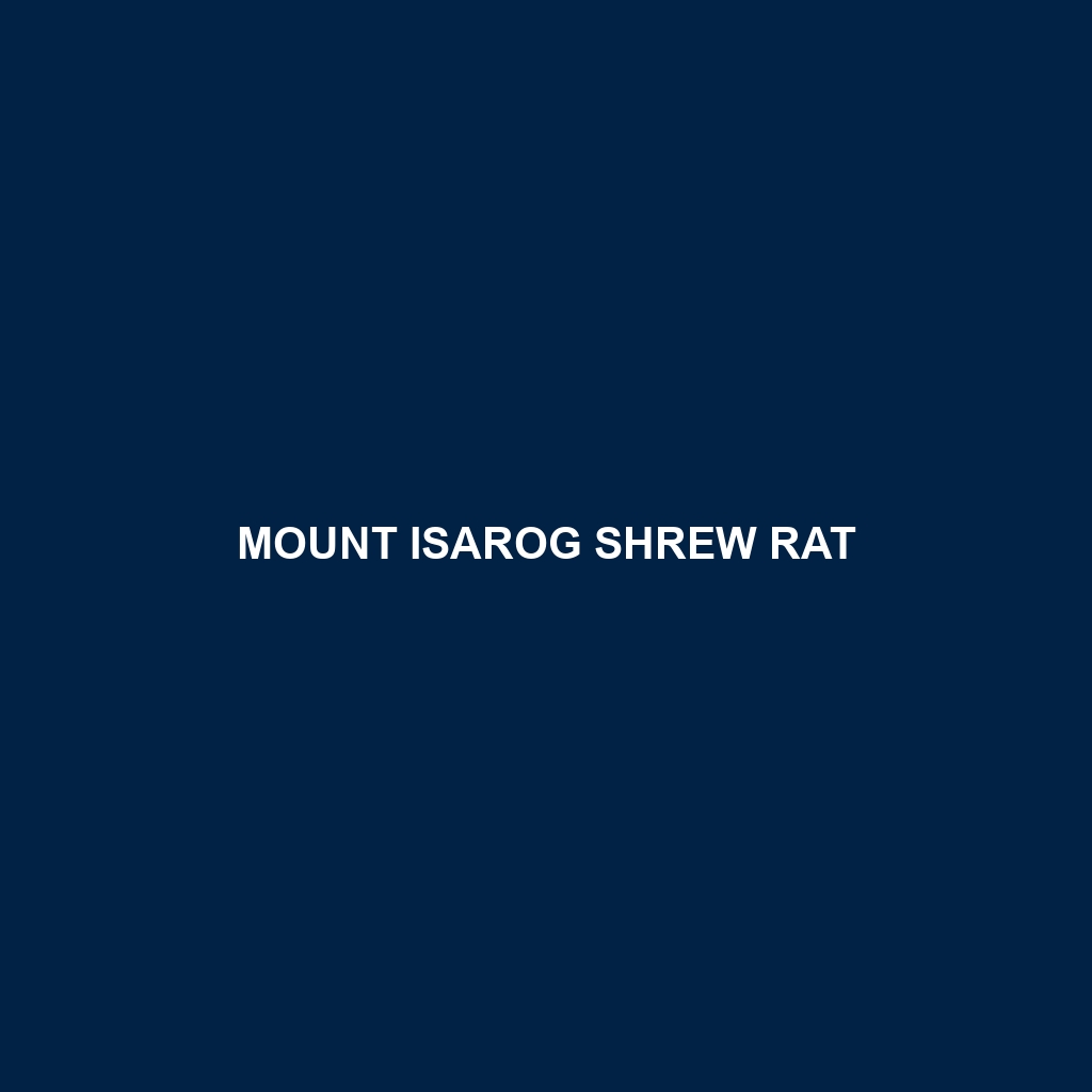 Mount Isarog Shrew Rat