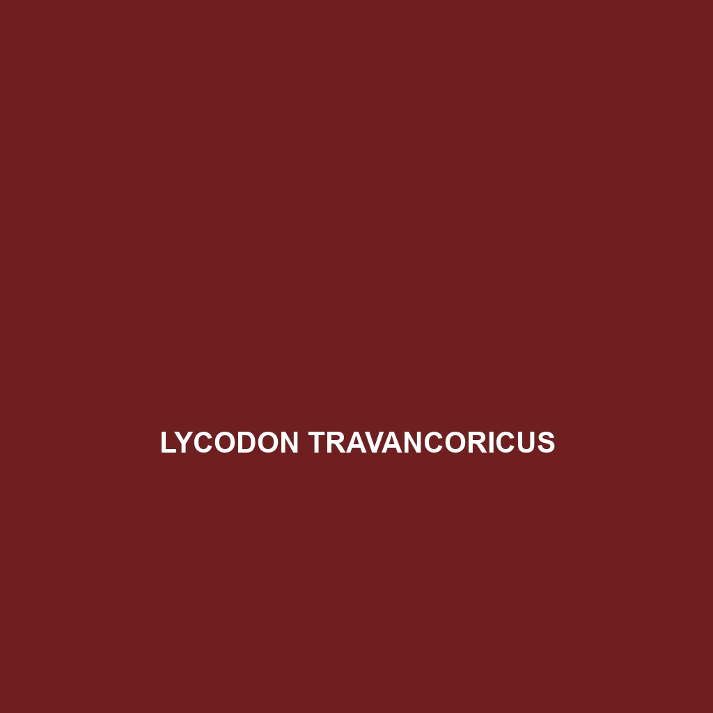 Lycodon travancoricus