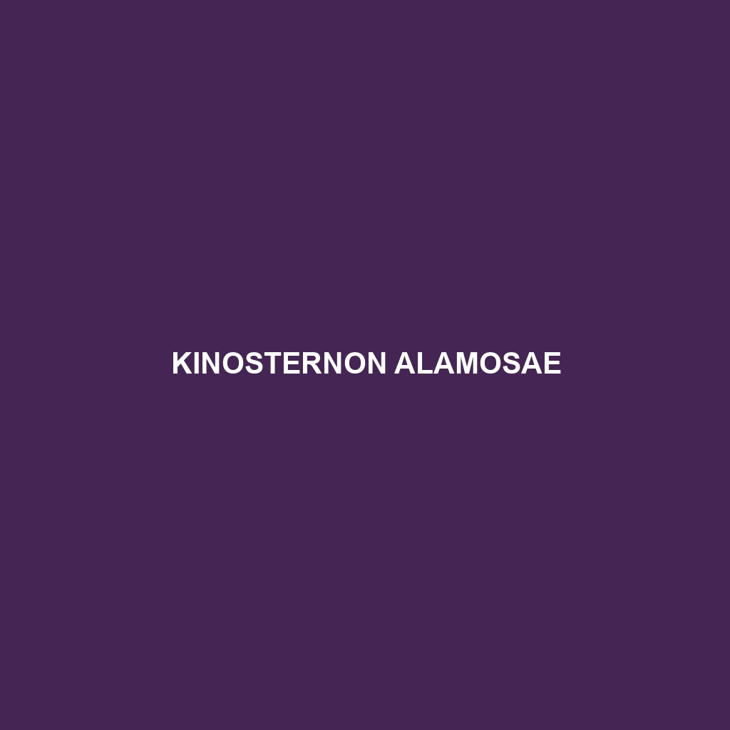 Kinosternon alamosae