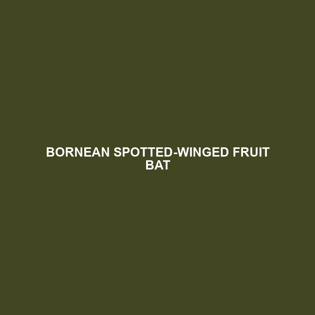 Bornean Spotted-winged Fruit Bat