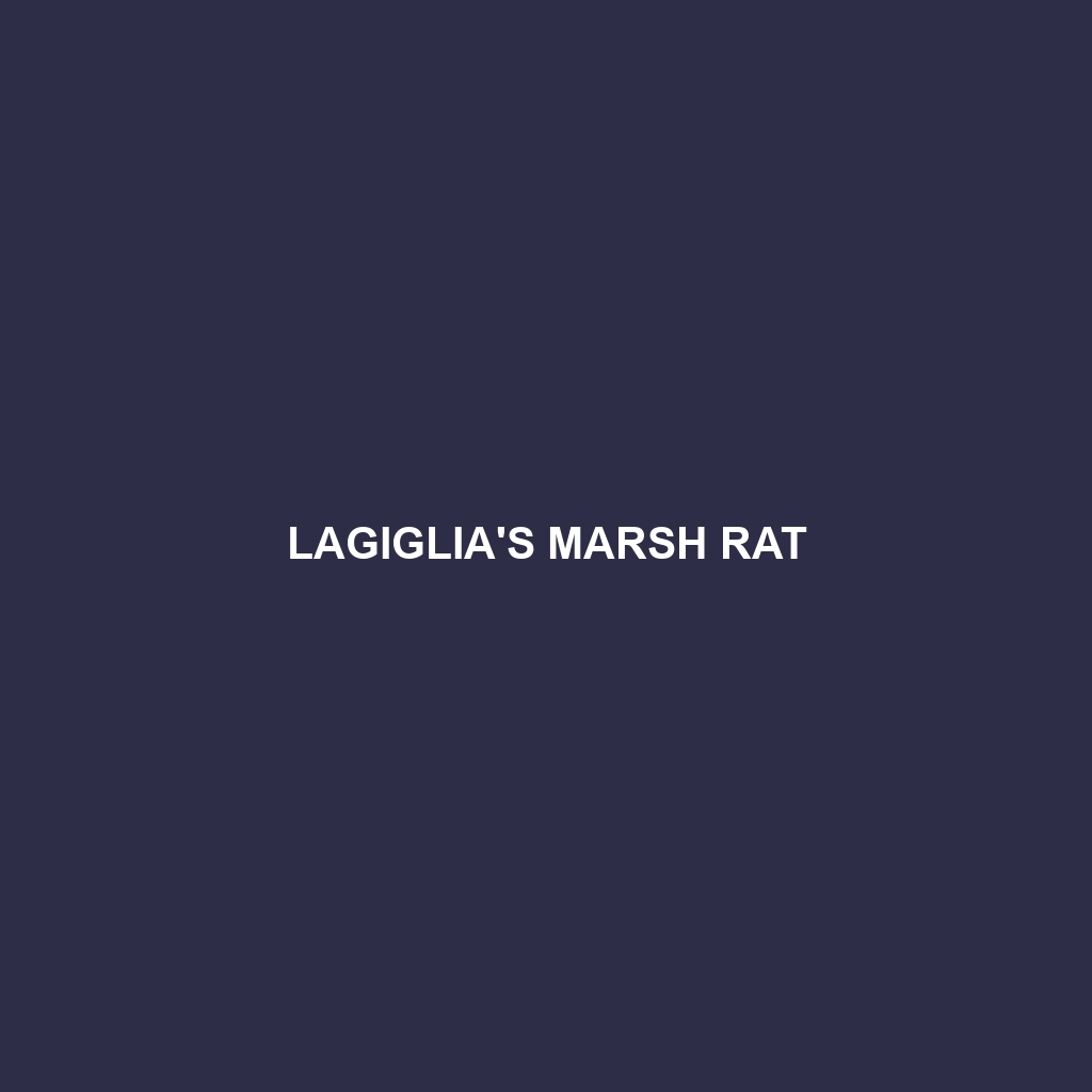 Lagiglia's Marsh Rat