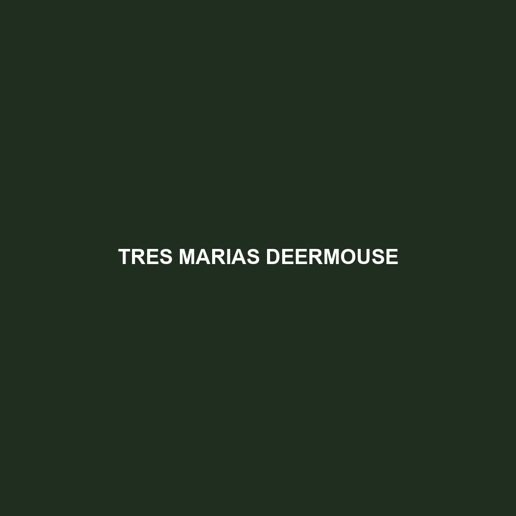 Tres Marias Deermouse