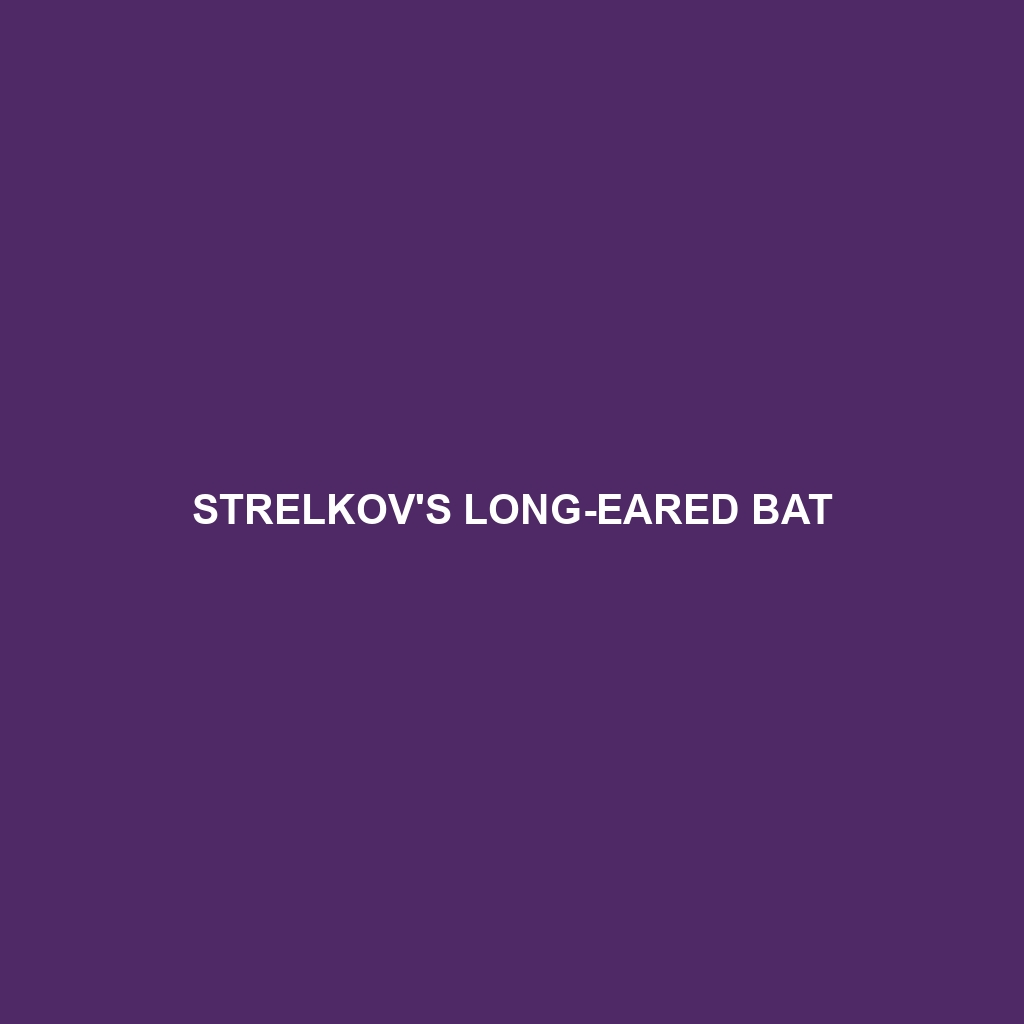 Strelkov's Long-eared Bat