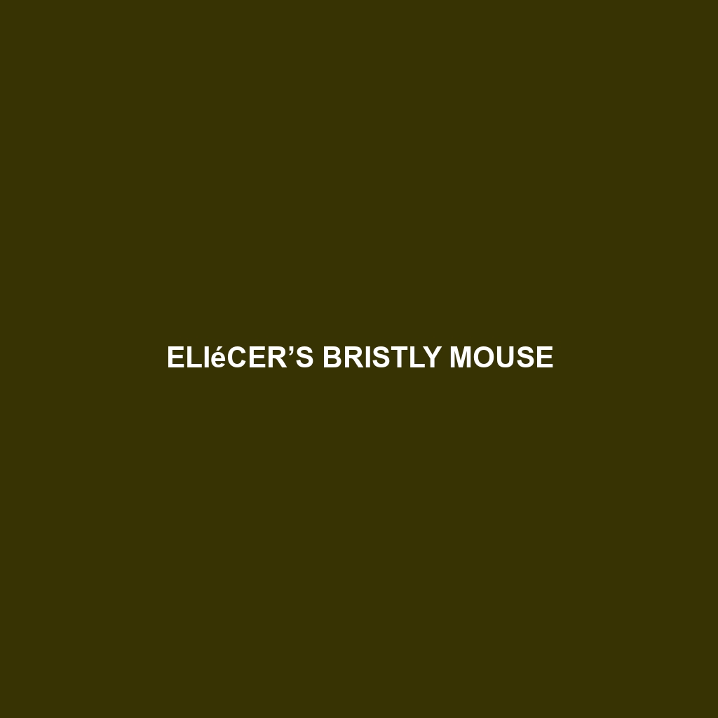 Eliécer’s Bristly Mouse