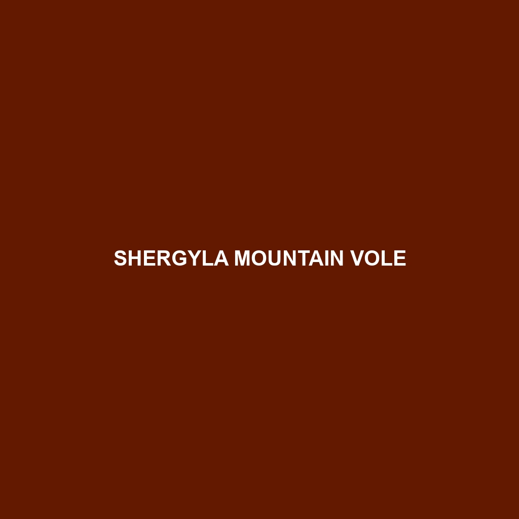 Shergyla Mountain Vole