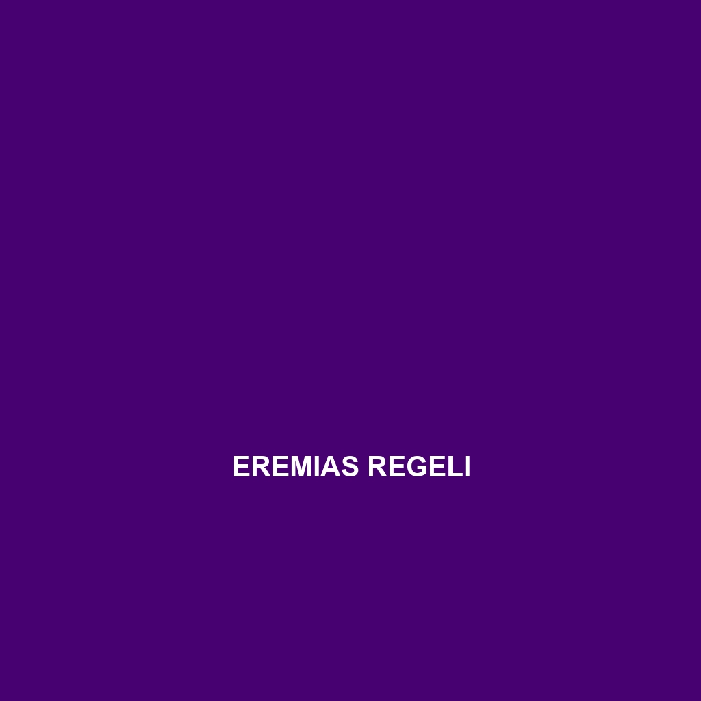 Eremias regeli