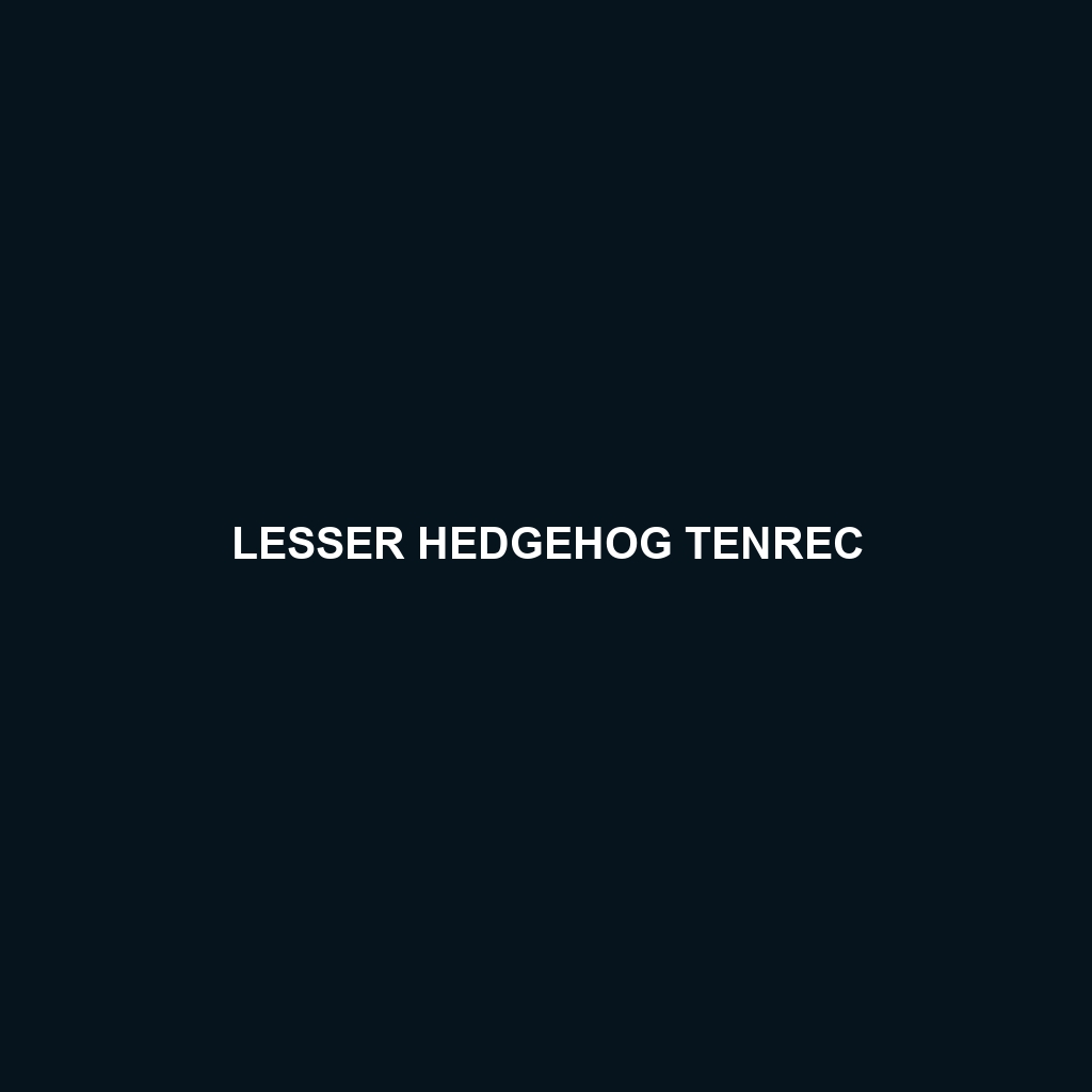 Lesser Hedgehog Tenrec