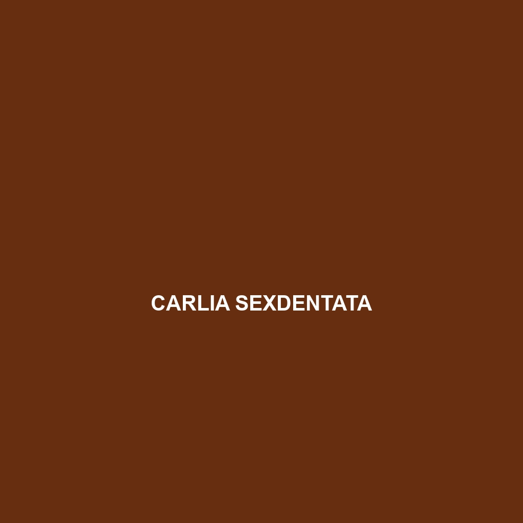 Carlia sexdentata