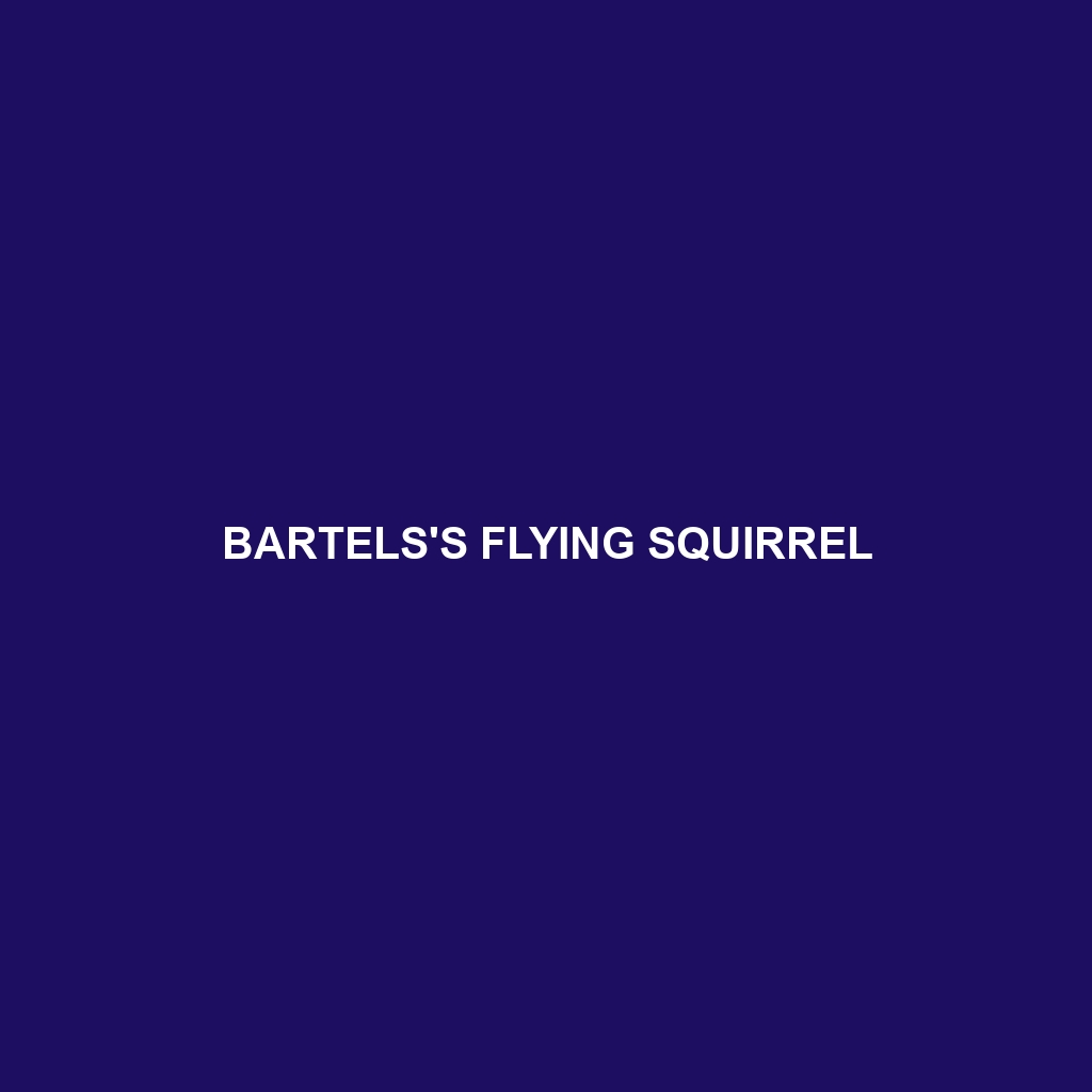 Bartels's Flying Squirrel