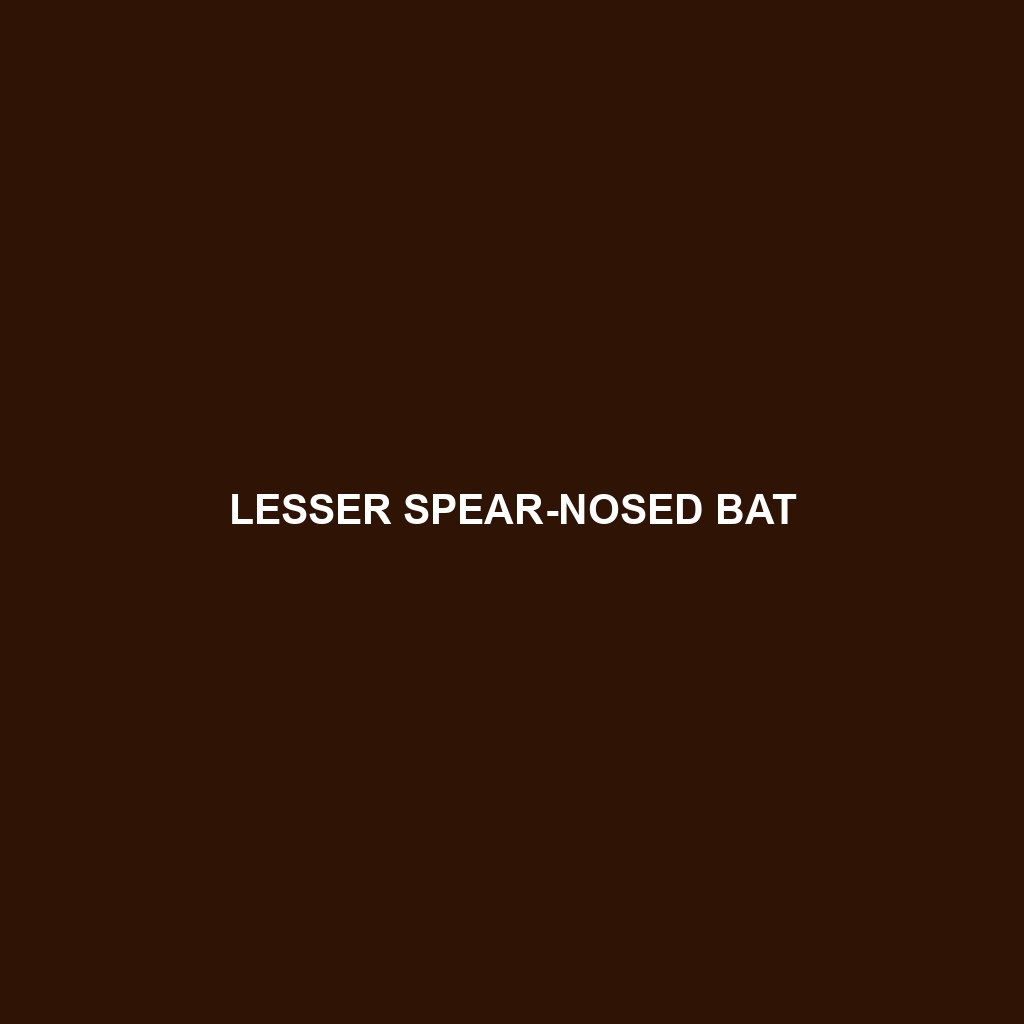 Lesser Spear-nosed Bat